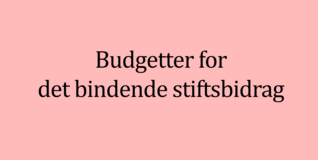 Ordene "Budgetter for det bindende stiftsbidrag" er skrevet med sort skrift på en lyserød baggrund, der passer til hjemmesidens farveskema